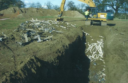 Environment Agency officers excavated large areas of the Upper Warren site as part of their investigation